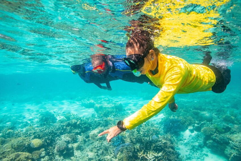 2-Day Great Barrier Reef Reefsuite Experience