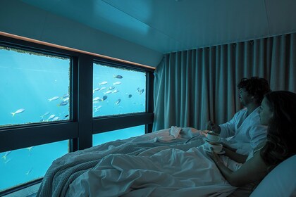 ประสบการณ์พักผ่อนที่ Great Barrier Reef Reefsuite 2 วัน