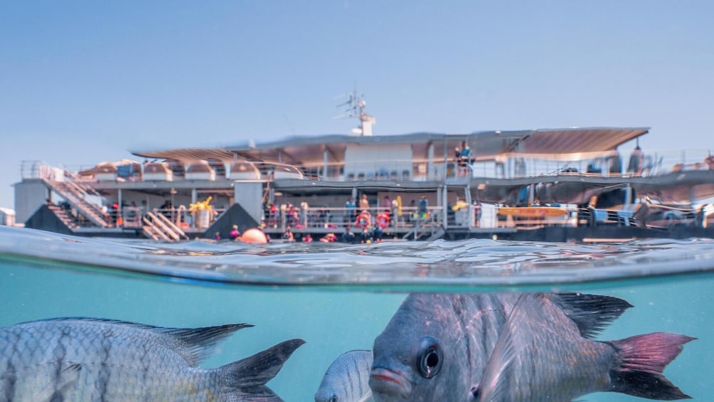 2-Day Great Barrier Reef Reefsuite Experience