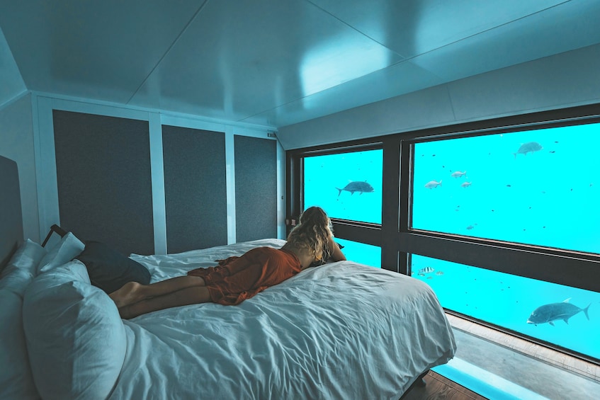 2-Day Great Barrier Reef Reefsuite Experience