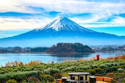 Geführte Gruppentour auf Englisch zum Fuji und zum Kawaguchi-See