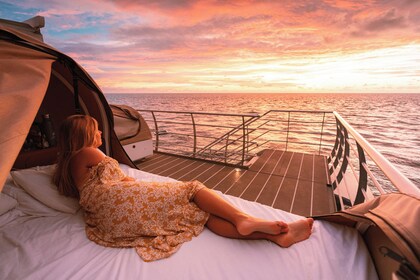 2-Day Great Barrier Reef Reefsleep Experience