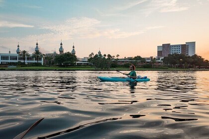 Clear Kayaking Glow Tour in Tampa Riverwalk