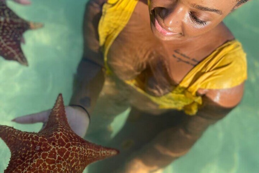 Up close and personal at Starfish Beach