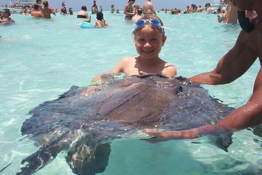 Youth At Stingray City