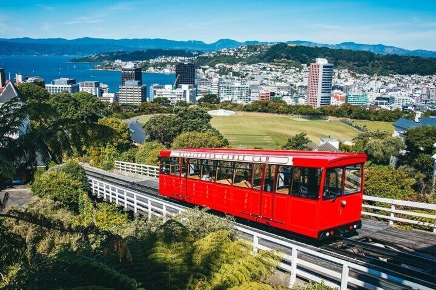 Your day out includes a ride on the Cable Car enjoying spectacular views of our spectacular city. All aboard!