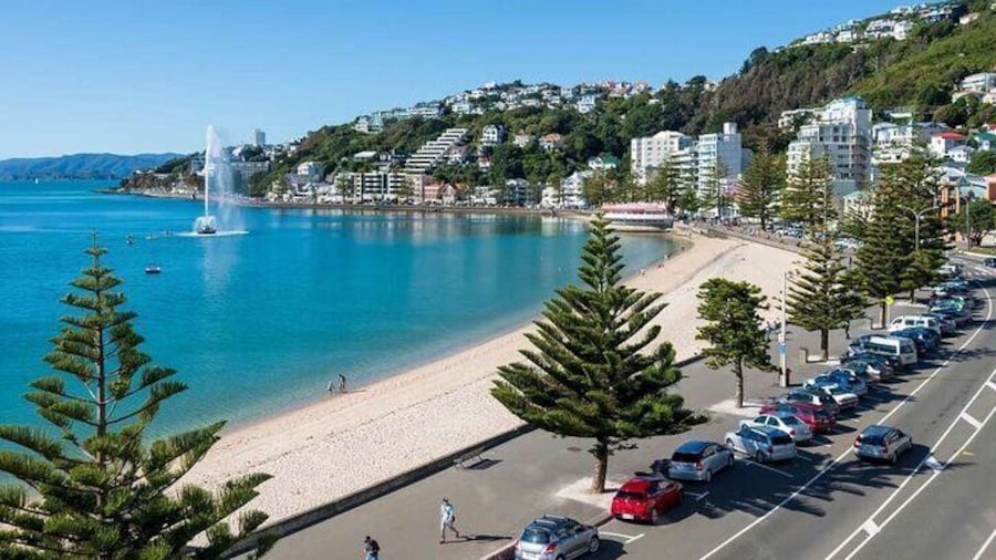 Cruise through stunning Oriental Bay, one of Wellingtons most desirable suburbs!