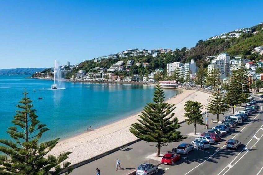 Cruise through stunning Oriental Bay, one of Wellingtons most desirable suburbs! 