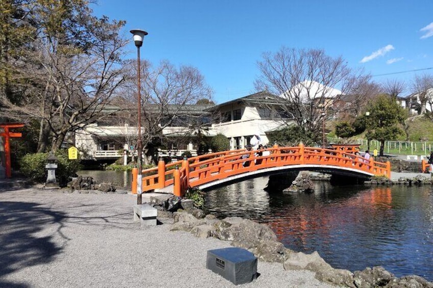 Private Tour to Shiraito Falls and Mount Fuji Heritage Centre