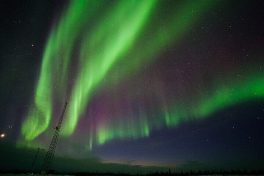 Small Group Aurora Viewing Tour 