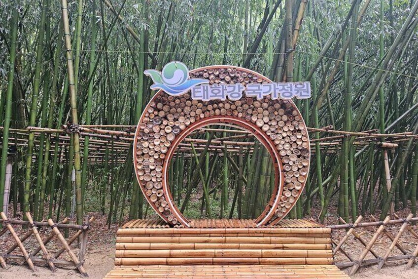 Taehwagang Bamboo Forest
