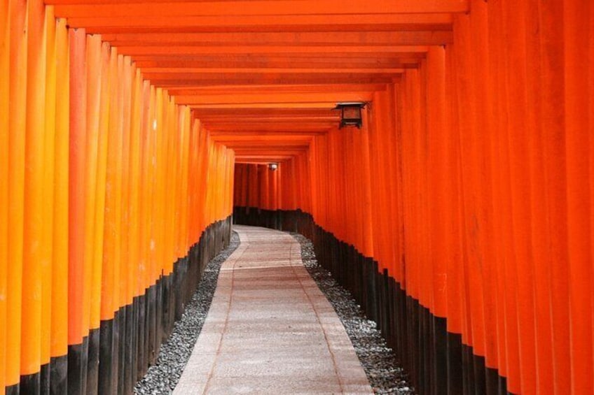 Fushimi Inari Torii Gates