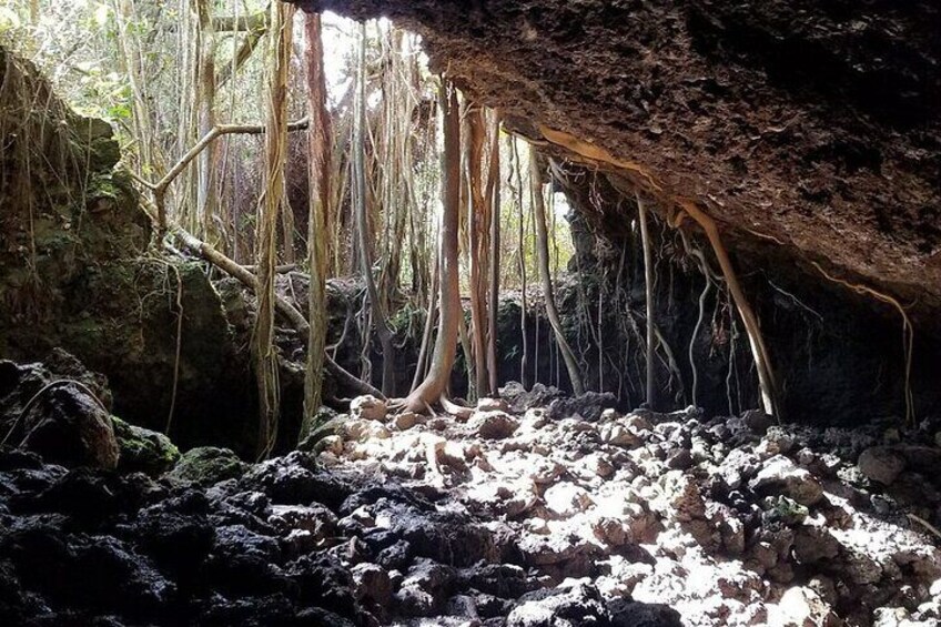 Private Half Day Road to Hana Tour