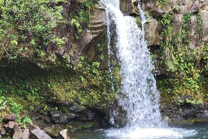 Private Half Day Road to Hana Tour