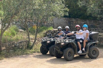 From Tortolì: ATV tour of the Golgo Plateau in Baunei