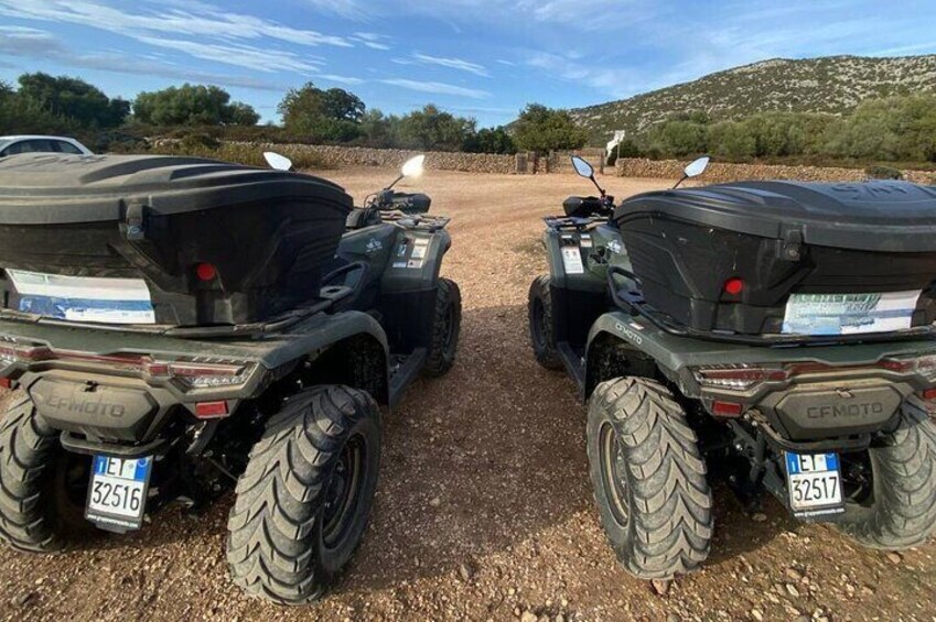 From Tortolì: ATV tour of the Golgo Plateau in Baunei