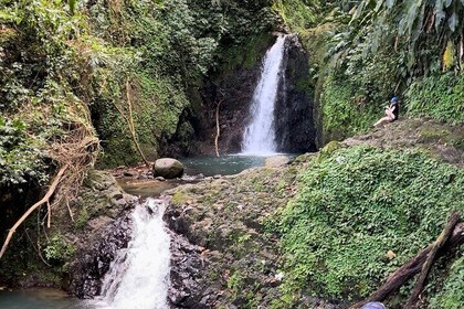 Half day tour: Grenada Seven Sisters Hike and Grand Etang Lake