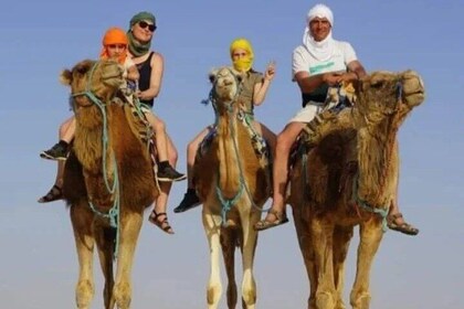 2 Days Tour of the Sahara from Hammamet