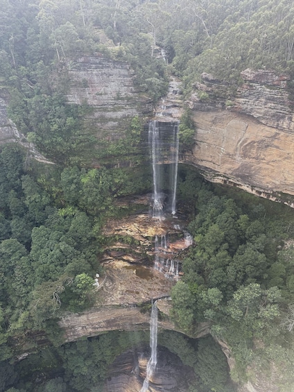 Picture 6 for Activity Blue Mountains: Scenic World, Zoo, Koala Photo with Lunch