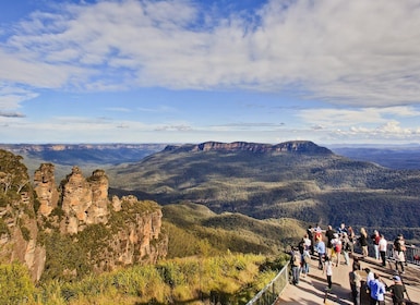 Blue Mountains: Adventure Tour W/Koala Photo + Lunch