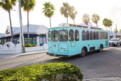 Trolley Provo Tour: Food Stops, History, 3.5 hours, AC