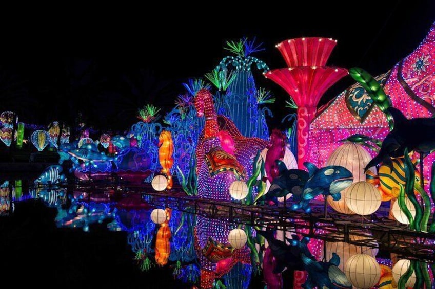 Dubai Garden Glow Entry Ticket