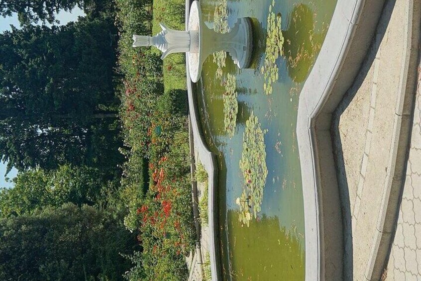 Mtirala National Park & Botanical Garden Private Tour From Batumi