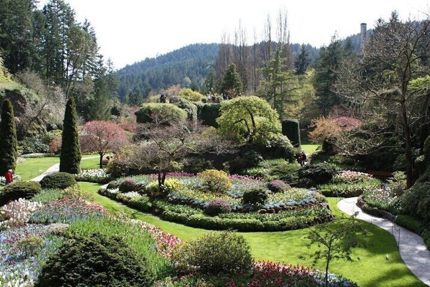 Mtirala National Park & Botanical Garden Private Tour From Batumi
