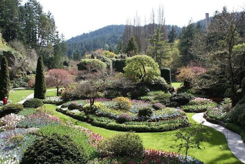 Mtirala National Park & Botanical Garden Private Tour From Batumi