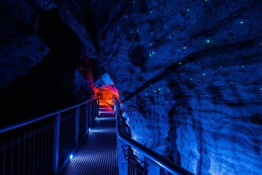 Waitomo - Ruakuri Caves