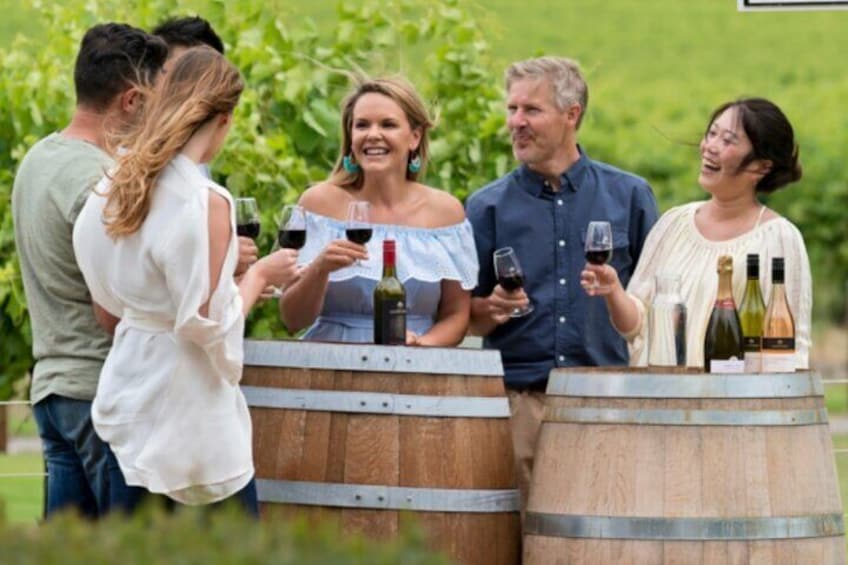 Private Wine Tour in South Australia