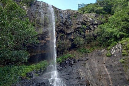 7 Cascades Hiking Tamarind Falls
