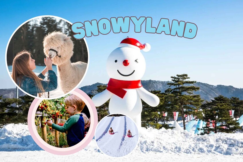 Snowy Land, Alpaca World, and Strawberry Picking