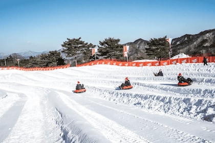 Snowy Land, Alpaca World, and Strawberry Picking