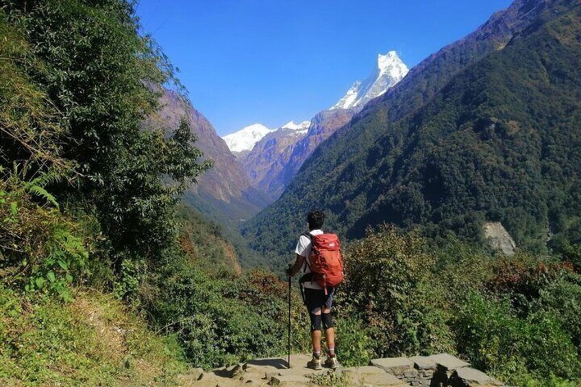 Fishtail view from Sinwa, en route to Annapurna Base Camp