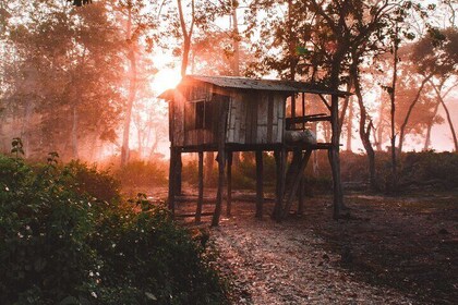 Tharu Community Home-stay Tour in Chitwan