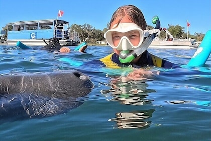 Private Manatee Swim Crystal River FL 6 Passenger Max Free Photos