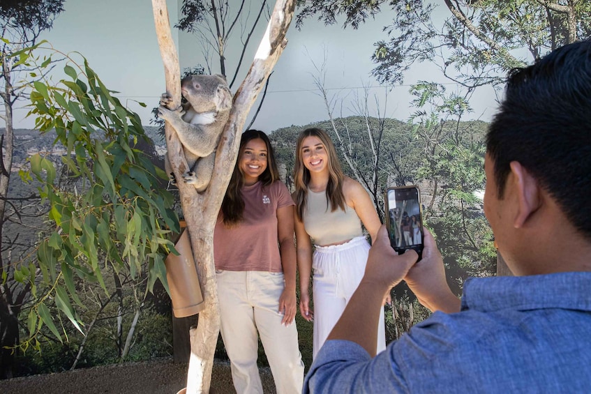 Picture 17 for Activity Blue Mountains: Scenic World, Ferry, Zoo & Koala Photo