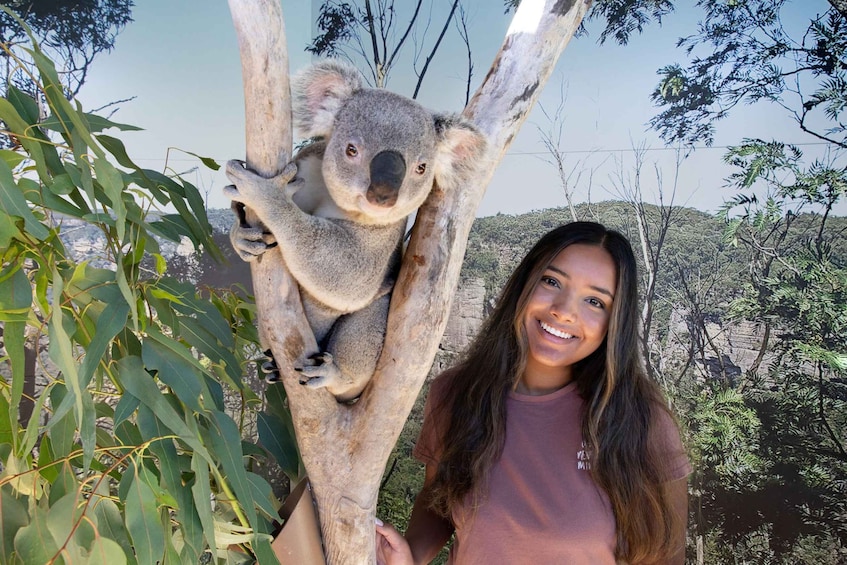 Picture 4 for Activity Blue Mountains: Scenic World, Ferry, Zoo & Koala Photo
