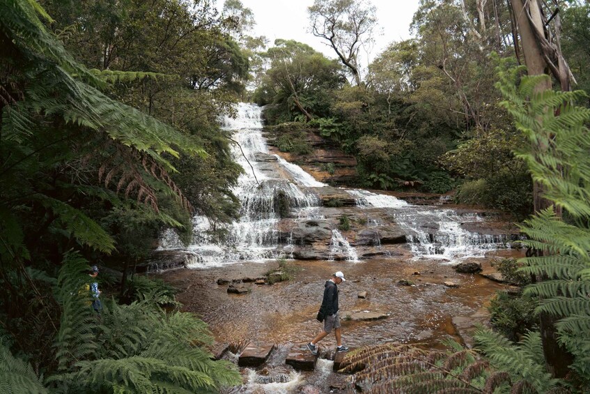 Picture 9 for Activity Blue Mountains: Scenic World, Ferry, Zoo & Koala Photo