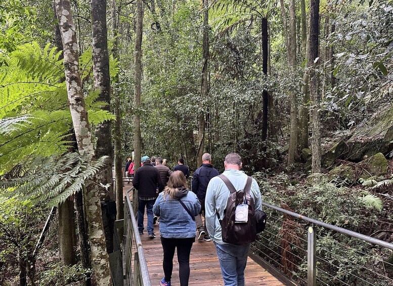 Picture 10 for Activity Blue Mountains: Scenic World, Ferry, Zoo & Koala Photo