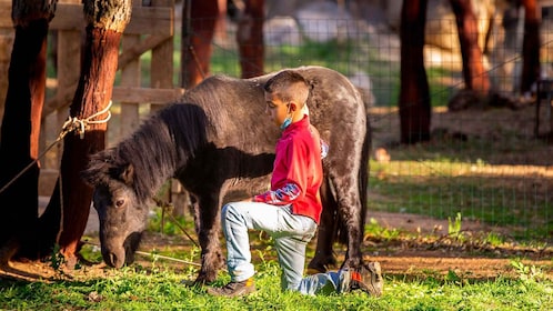 Arzana: Visit to a farm with tasting