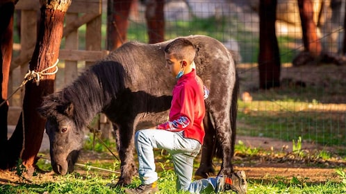 Arzana: Visit to a farm with tasting