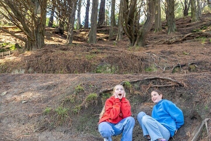 Lord of the Rings 1/2 day Tour to rule them all