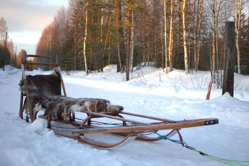 Picture 8 for Activity Luleå: Fika tour Dogsledding