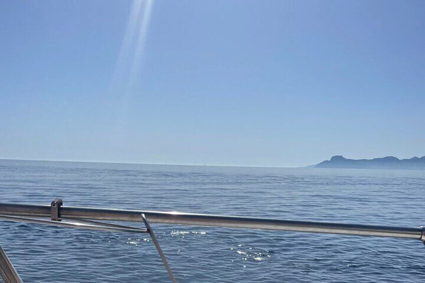 2hr Alcanada Island, Drinks, SUP & Snorkel