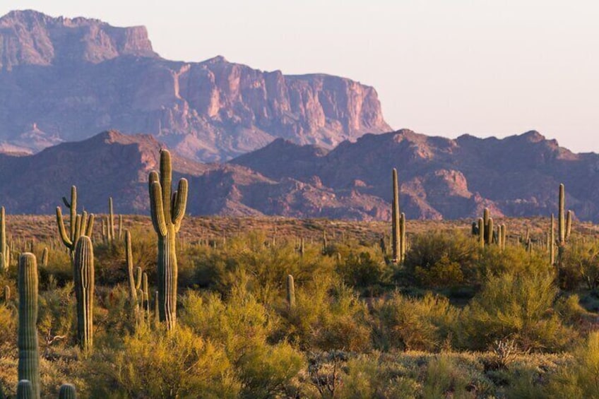 Self Guided Driving Audio Tour of Saguaro National Park