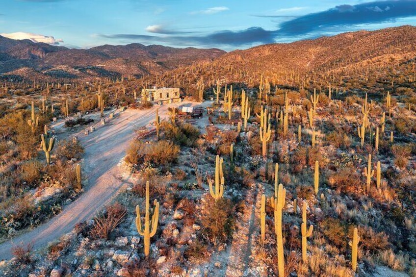 Self Guided Driving Audio Tour of Saguaro National Park