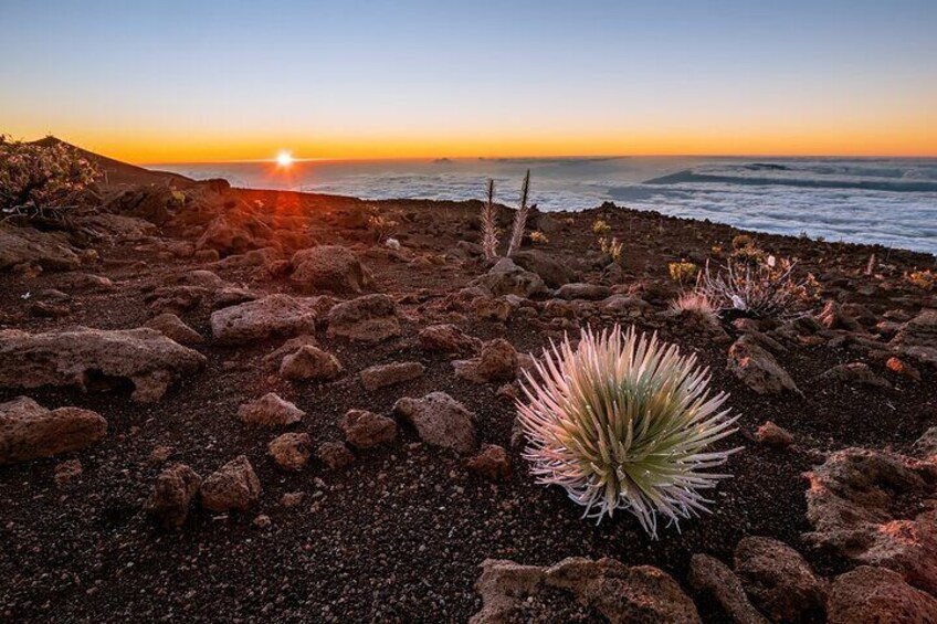 Self-Guided Audio Driving Tour in Haleakala