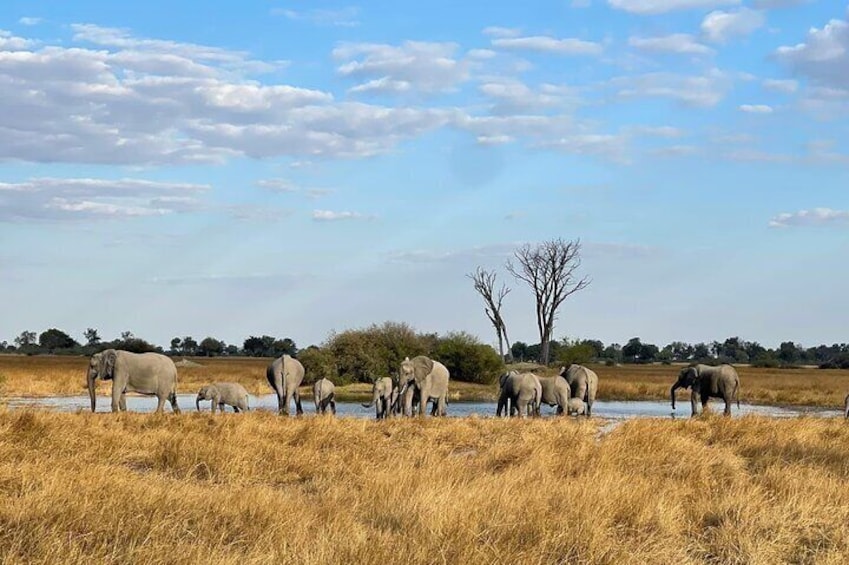 Victoria Falls, Chobe and Okavango Delta Private Multi-day Tour